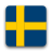 SEK icon