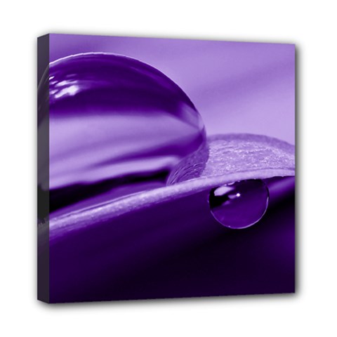 Drops Mini Canvas 8  X 8  (framed) by Siebenhuehner
