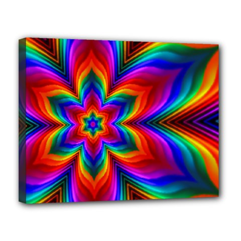 Rainbow Flower Canvas 14  X 11  (framed)
