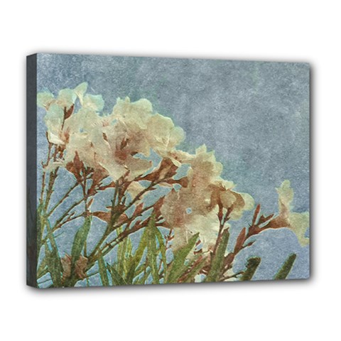 Floral Grunge Vintage Photo Canvas 14  X 11  (framed) by dflcprints