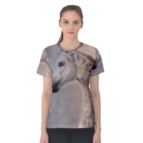 Grey Arabian Horse Women s Cotton Tees by TwoFriendsGallery