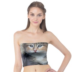 Comfy Kitty Women s Tube Tops by trendistuff