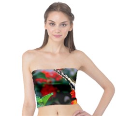 Butterfly Flowers 1 Women s Tube Tops by trendistuff