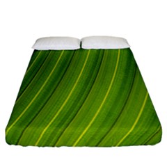 Green Leaf Pattern Plant Fitted Sheet (california King Size) by Sapixe