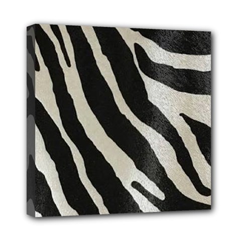 Zebra Print Mini Canvas 8  X 8  (stretched)