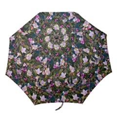 Apple Blossom  Folding Umbrellas