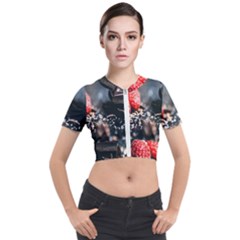 Chocolate Dark Short Sleeve Cropped Jacket