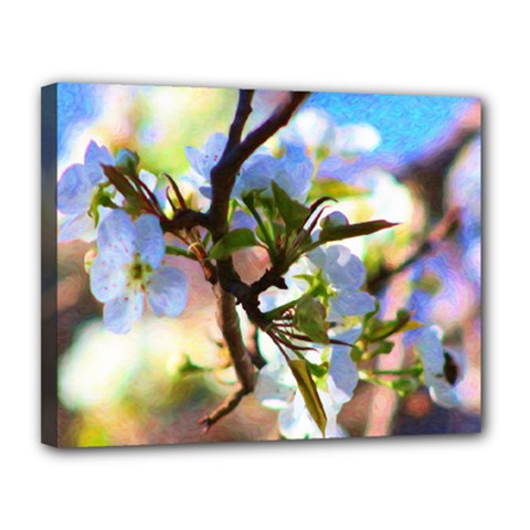 Springtime Pear Tree Blossoms Canvas 14  X 11  (stretched)
