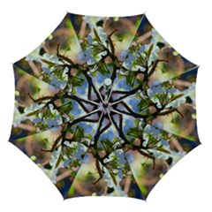 Springtime Pear Tree Blossoms Automatic Folding Umbrella With Case (medium)