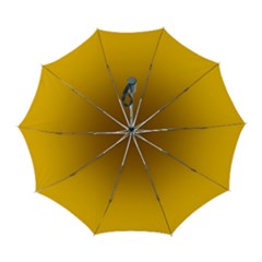 Chocolate Brown To Amber Orange Linear Gradient Automatic Folding Umbrella With Case (large)