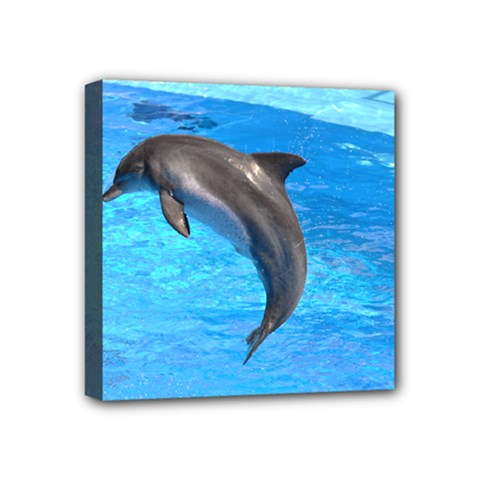Jumping Dolphin Mini Canvas 4  X 4  (stretched)