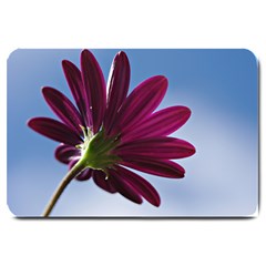 Daisy Large Door Mat by Siebenhuehner