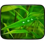 Bamboo Leaf With Drops Mini Fleece Blanket (Two Sided) 35 x27  Blanket Back