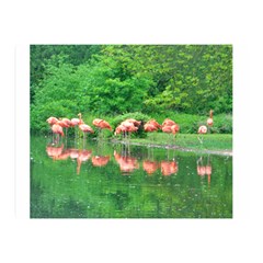 Flamingo Birds At Lake Double Sided Flano Blanket (mini) by yoursparklingshop
