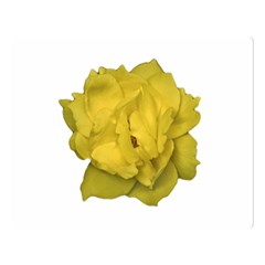 Isolated Yellow Rose Photo Double Sided Flano Blanket (large)  by dflcprints