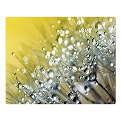 Dandelion 2015 0713 Double Sided Flano Blanket (large)  by JAMFoto