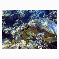 Sea Turtle Large Glasses Cloth (2-side) by trendistuff
