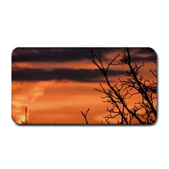 Tree Branches And Sunset Medium Bar Mats by picsaspassion