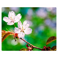 Sakura Flowers On Green Double Sided Flano Blanket (medium)  by FunnyCow