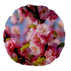 Flowering Almond Flowersg Large 18  Premium Flano Round Cushions