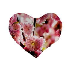 Blooming Almond At Sunset Standard 16  Premium Heart Shape Cushions