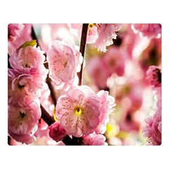 Blooming Almond At Sunset Double Sided Flano Blanket (large)  by FunnyCow