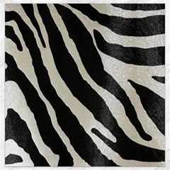 Zebra Print Canvas 12  X 12 