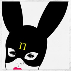 Bunny Girl Mask Canvas 20  X 20 