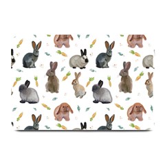 Cute Bunny Plate Mats by SychEva