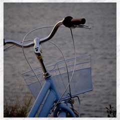 Classic Blue Canvas 20  X 20 