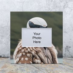 Digital Rebel (13) White Box Photo Frame 4  X 6  by 1xmerch