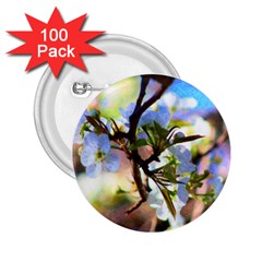Springtime Pear Tree Blossoms 2 25  Buttons (100 Pack)  by ExtraAwesomeSauce