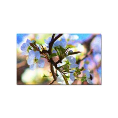 Springtime Pear Tree Blossoms Sticker Rectangular (10 Pack)