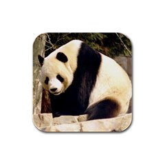 Giant Panda National Zoo Rubber Square Coaster (4 Pack) by rainbowberry
