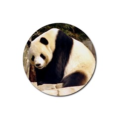 Giant Panda National Zoo Rubber Round Coaster (4 Pack) by rainbowberry